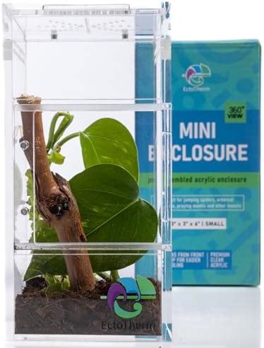 Amazon Suzile Jumping Spider Terrarium Tarantula Enclosure