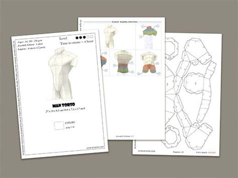 Model Man Torso Diy Man Torso Low Poly Torso Paper Torso Man Torso Papercraft Paper Body