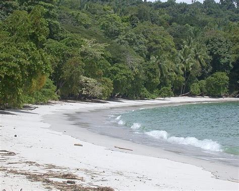 Manuel Antonio National Park 哥斯达黎加安东尼奥国家公园 旅游景点点评 Tripadvisor