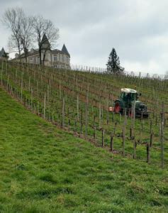 Broyage Des Sarments Casta De Franqueville Fr