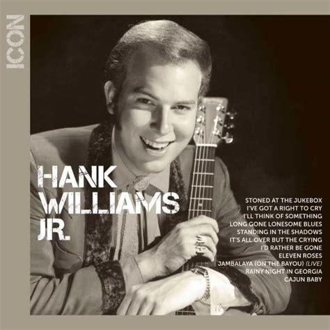 Hank Williams Jr Icon Series Hank Williams Jr Cd