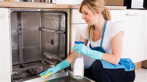 Here S What Happens If You Use Drano To Unclog Your Dishwasher