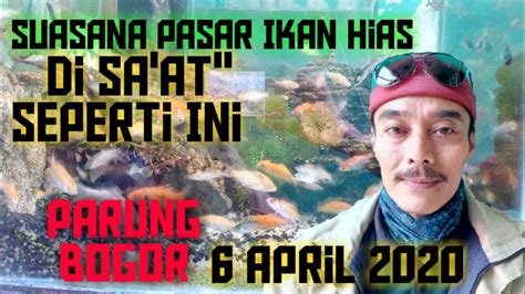 Petualang Dadakan Vlog Pasar Ikan Hias Sa At Ini Youtube