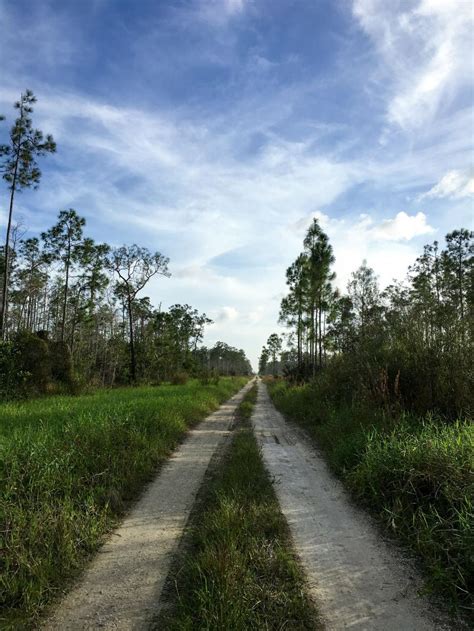 Free Stock Photo Of Peaceful Country Dirt Road Amidst Wild Grass