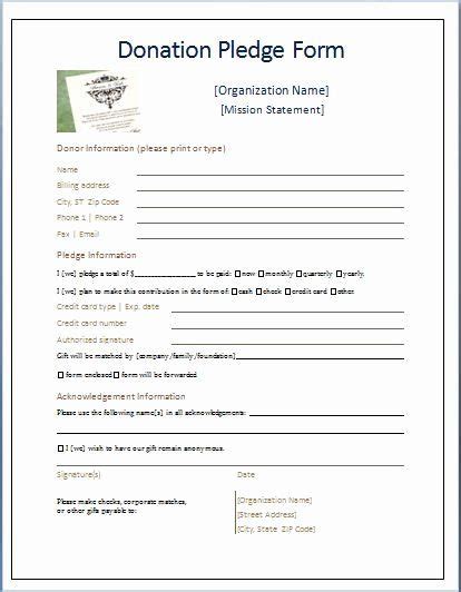 Free Pledge Card Template Best Of Sample Donation Pledge Form