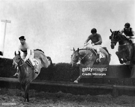 66 Arkle Racehorse Stock Photos, High-Res Pictures, and Images - Getty ...