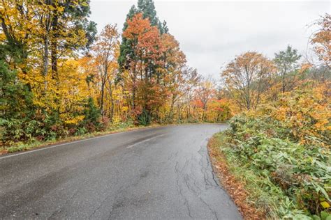 Autumn road in japan . editorial image. Image of fall - 109243500