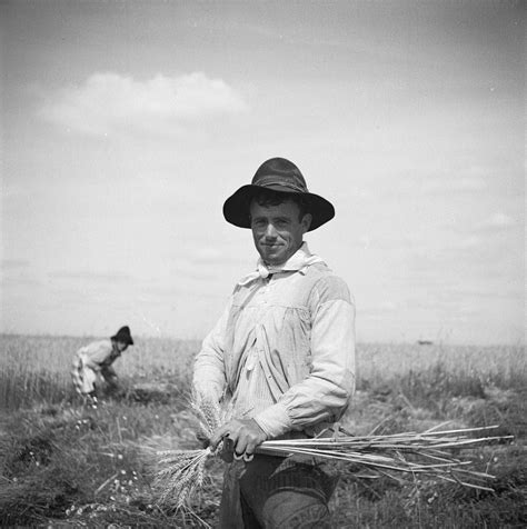 A Vida Rural Por Artur Pastor D De Delta