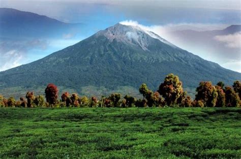 Daftar 10 Nama Puncak Gunung Tertinggi Di Indonesia Lengkap Dengan