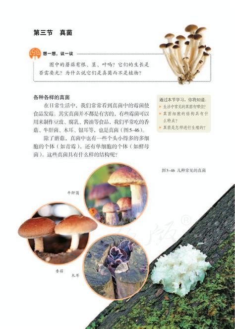 第四章 细菌和真菌2013年审定人教版八年级生物上册（高清）中学课本网