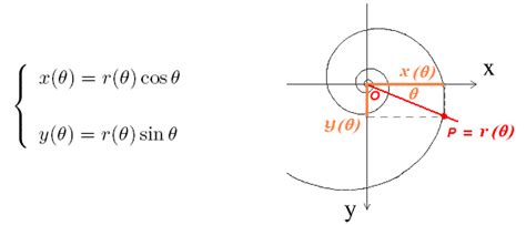 Shells Logarithmic Spiral