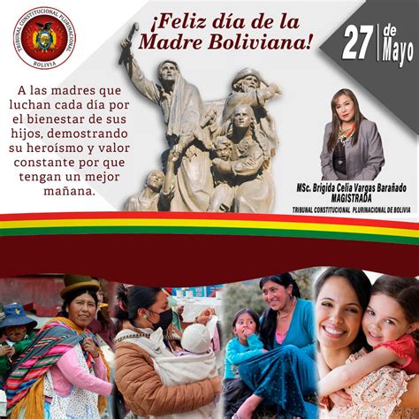 D A De La Madre Boliviana Tcp Tribunal Constitucional Plurinacional