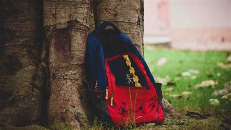 Mochilas Buenas Bonitas Y Baratas Para El Regreso A Clases 2023