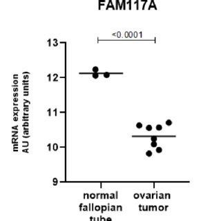 FAM117A Is Expressed At Significantly Lower Levels In HGSC Tumors When