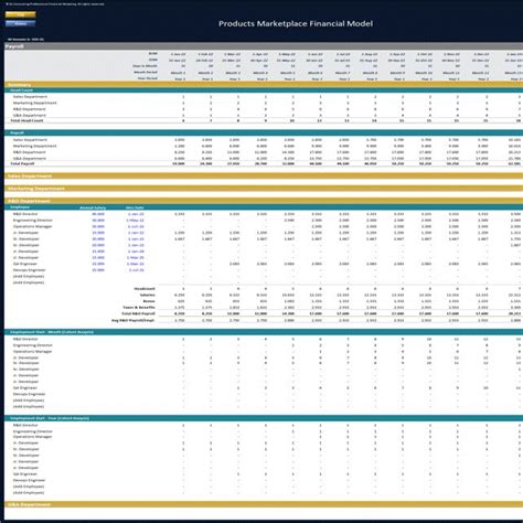 This Is A Partial Preview Of Online Products Marketplace Financial Model