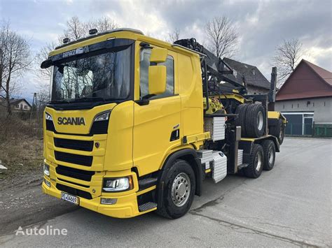 Scania R Holztransporter Lkw Kaufen Polen Mszana G Rna Nj