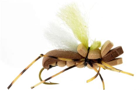 Dry Fly Attractors Catch Fly Fishing