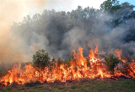 Wildland Fire Expanding Burn Windows To Include Growing Season U S National Park Service