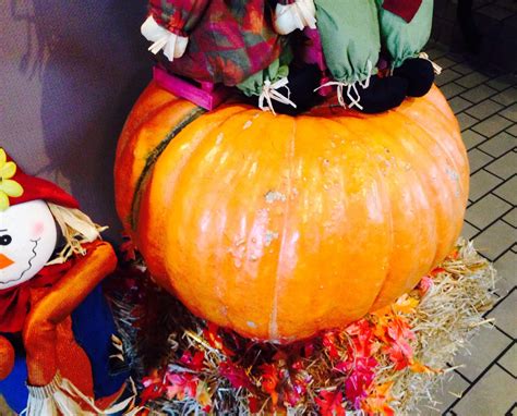 George's Restaurant Sunset Park - Diner & Bar | Brooklyn NY