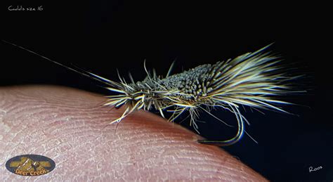 Caddis On Partridge Sld2 16 By Thomas Roos Fly Tying Patterns Fly