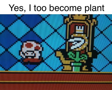 Smb3 Plant Rpiranhaplantmains