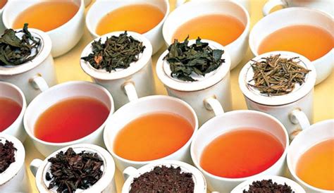 Top Healthy Teas Drinking Tea For Health And Longevity