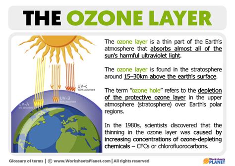 What is the Ozone Layer | Definition