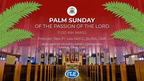 Palm Sunday Of The Passion Of The Lord Am Mass Roman Catholic