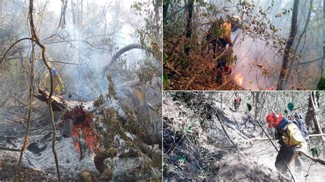 Desastre Ambiental Ya Son Más De 11 000 Las Hectáreas Arrasadas Por El