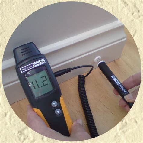 Why Having Your Moisture Probes Read Regularly Is Important Moisture Detection Company Ltd