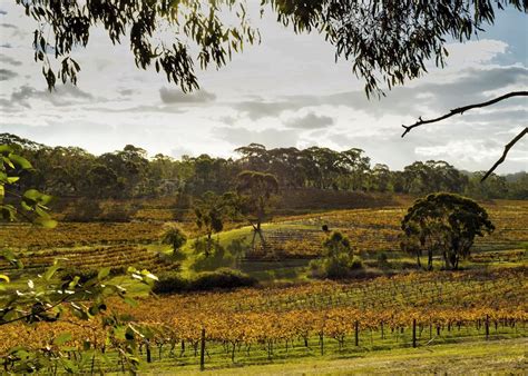 Visit Clare Valley On A Trip To Australia Audley Travel Uk