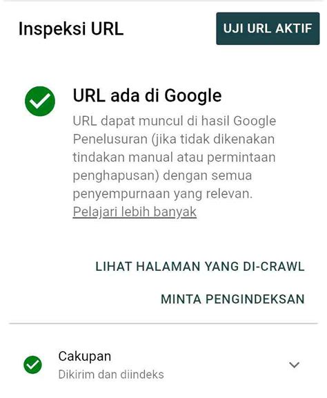 Cara Cek Artikel Sudah Terindex Google Pada Google Search Console