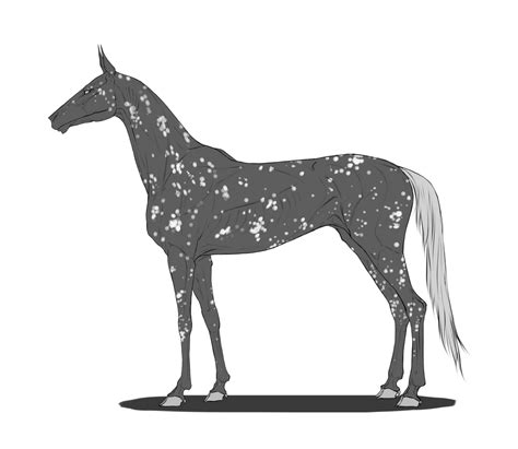 Snowflake Appaloosa by OfDarkestFantasies on DeviantArt