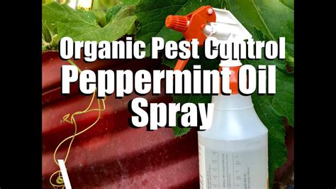 Some Of Pest Control Products The Single Strategy To Use For Pest Control Chemicals