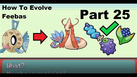 Pokemon Feebas Evolution Chart | edu.svet.gob.gt