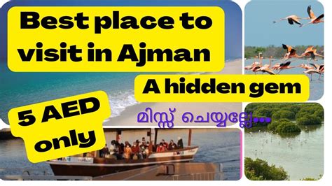 Best Place To Visit In Ajman Free Places To Visit In Uae Al Zorah Ajman