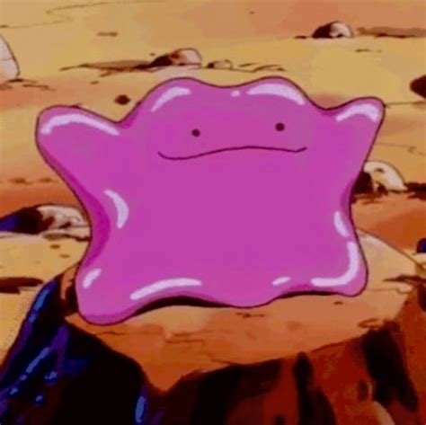 ditto icon | Pokemon ditto, Rockruff pokemon, Pokemon