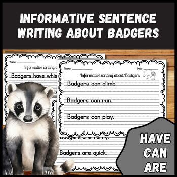 Badger Informative Sentence Writing Practice Worksheets With True Facts