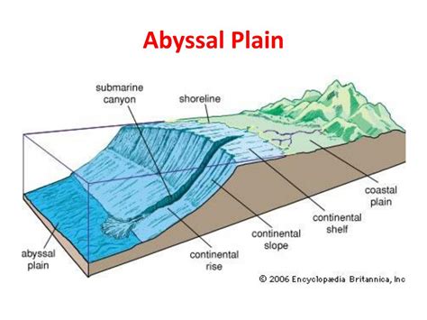 Ppt Features Of The Ocean Floor Powerpoint Presentation Free