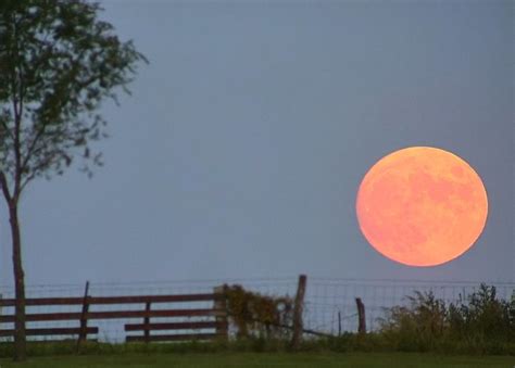 Harvest Moon 2019 coming up September 13-14 | Astronomy Essentials ...