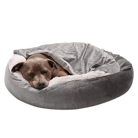 11 Best Warm Dog Beds