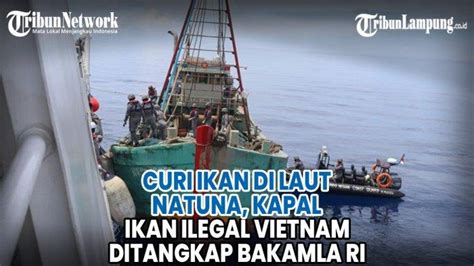 VIDEO Curi Ikan Di Laut Natuna Kapal Ikan Ilegal Vietnam Ditangkap