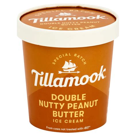 Tillamook Special Batch Double Nutty Peanut Butter Ice Cream Shop Ice