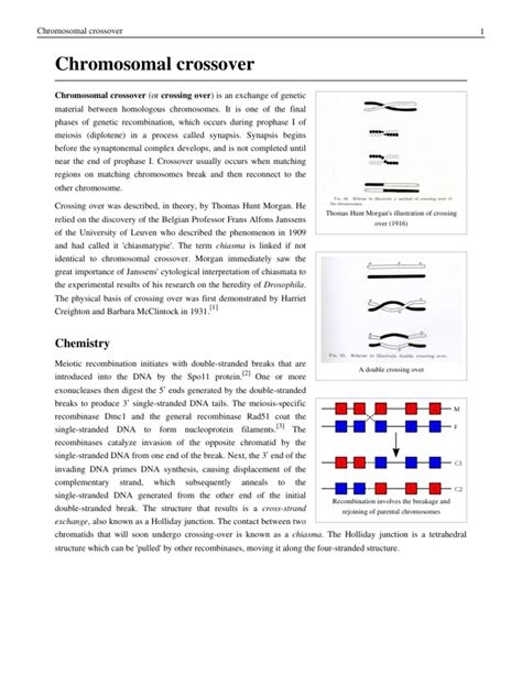 Chromosomal Crossover | Genetic Recombination | Meiosis | Free 30-day Trial | Scribd