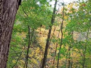 自然界中的 POV Pornhub Gay