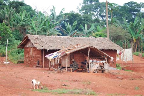 South African Vernacular Architecture