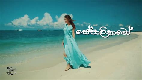 Sepalikawo සේපාලිකාවෝ Shehan Kaushalya Lyrics Video Youtube