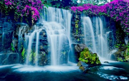 Exotic Waterfall,Hawaii - Waterfalls & Nature Background Wallpapers on Desktop Nexus (Image 2199482)