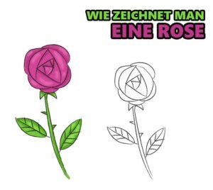 Eine Rose zeichnen Schritt für Schritt Anleitung Zeichnen Ideen