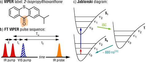 A Triplet Label Extends Two‐dimensional Infrared Spectroscopy From Pico‐ To Microseconds